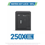 Godrej Matrix 1814 (50L) Key Lock Home Locker