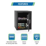 Godrej NX Pro Digital (40L) Ebony Home Locker