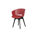 Dallas Premium Chair With Arms