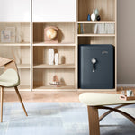 Godrej Rhino Regal Key Lock Grey